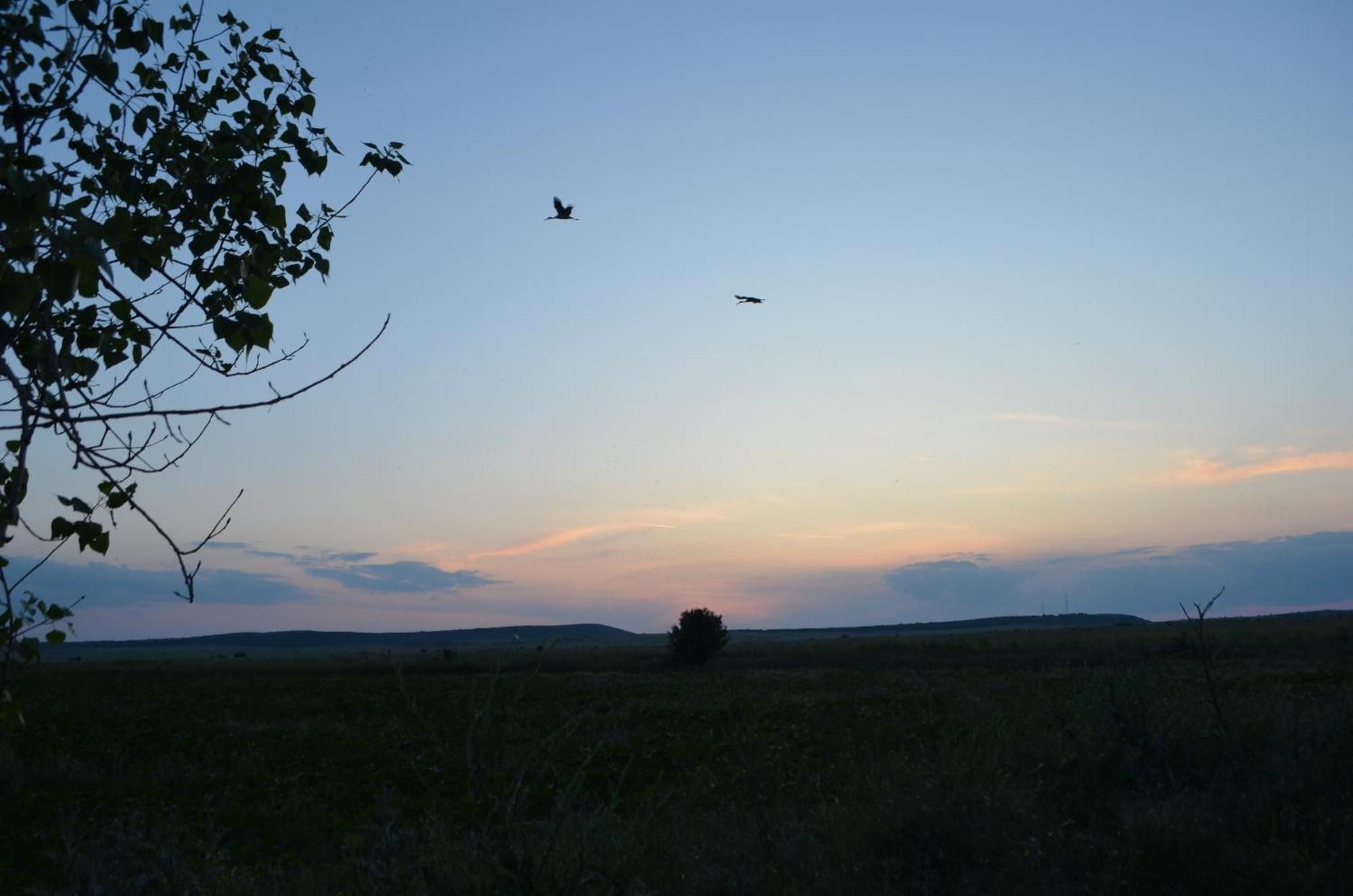 Agropensiune Caban Jurilovca Buitenkant foto